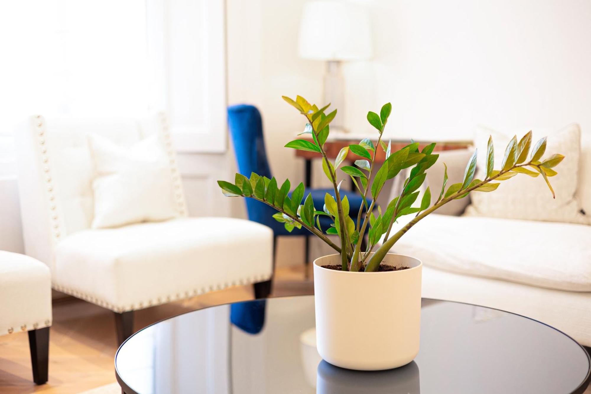 Sunlit 1-br Flat Near Notting Hill Appartamento *